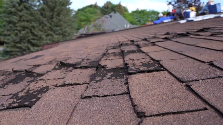Best Asphalt Shingles Roofing  in Tidmore Bend, AL