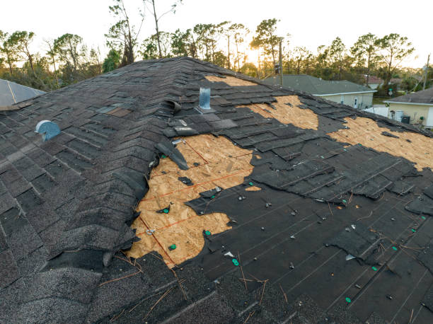 Best Storm Damage Roof Repair  in Tidmore Bend, AL